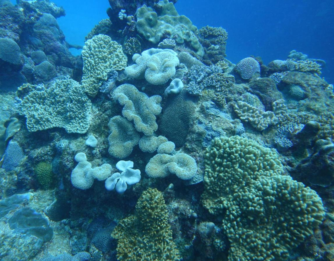 Lily Pad Lodge Bambou Dış mekan fotoğraf