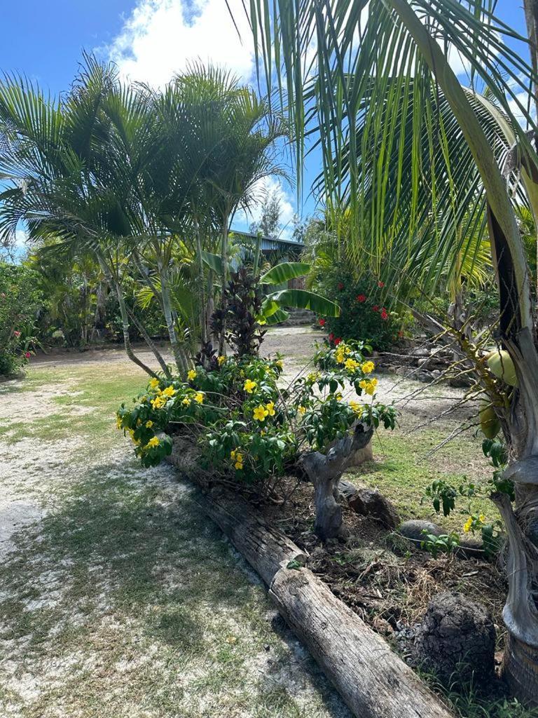 Lily Pad Lodge Bambou Dış mekan fotoğraf