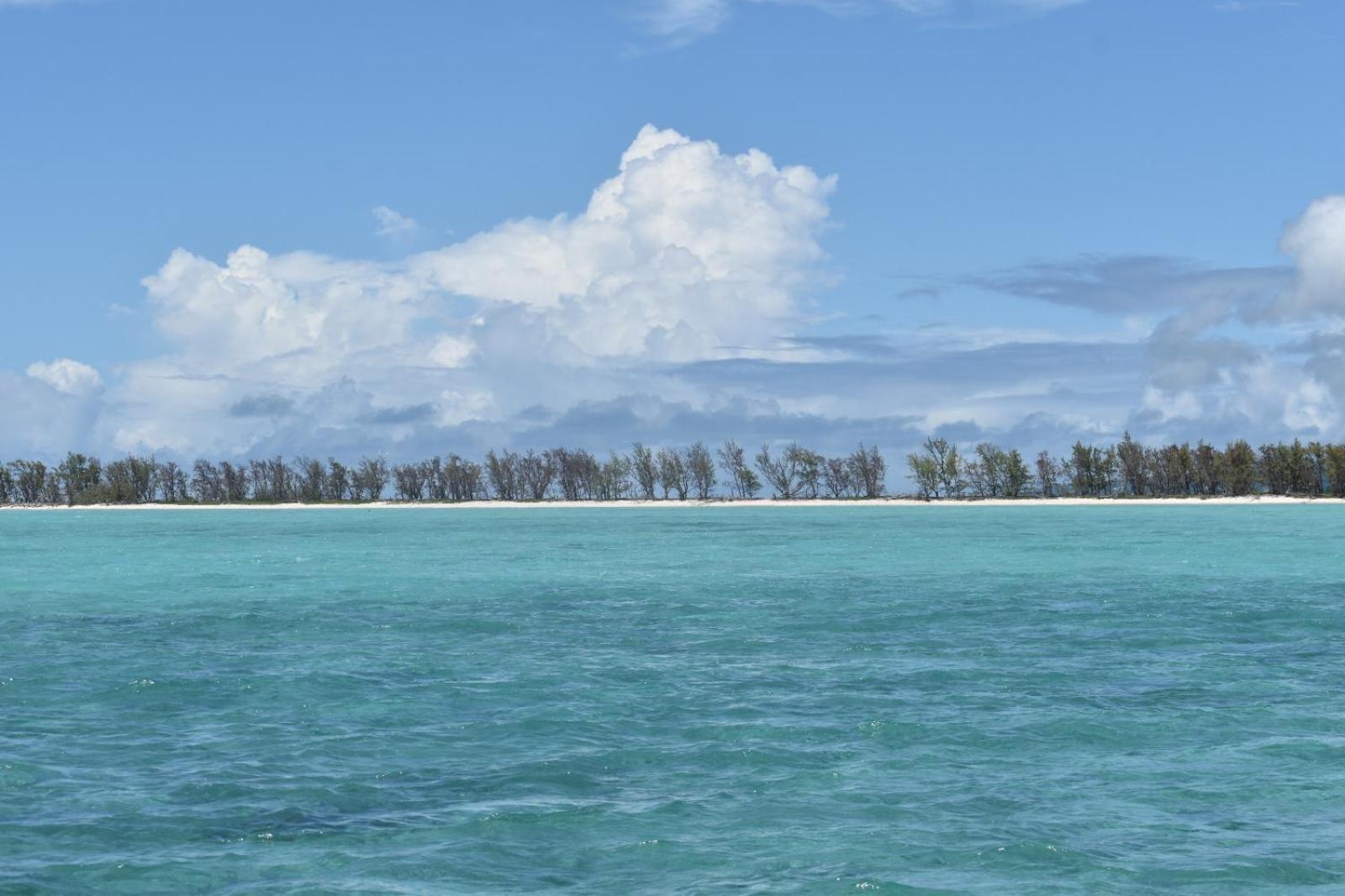 Lily Pad Lodge Bambou Dış mekan fotoğraf