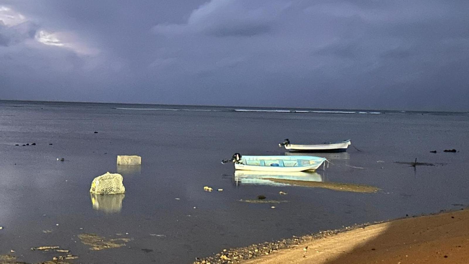 Lily Pad Lodge Bambou Dış mekan fotoğraf